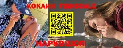 стаф Краснодар