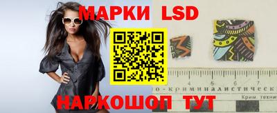 стаф Краснодар