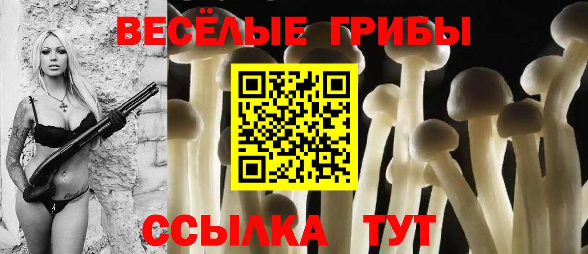 Барабинск  Галлюциногенные грибы MAGIC MUSHROOMS  купить   Псилоцибиновые грибы ЛСД  Вход с VPN 